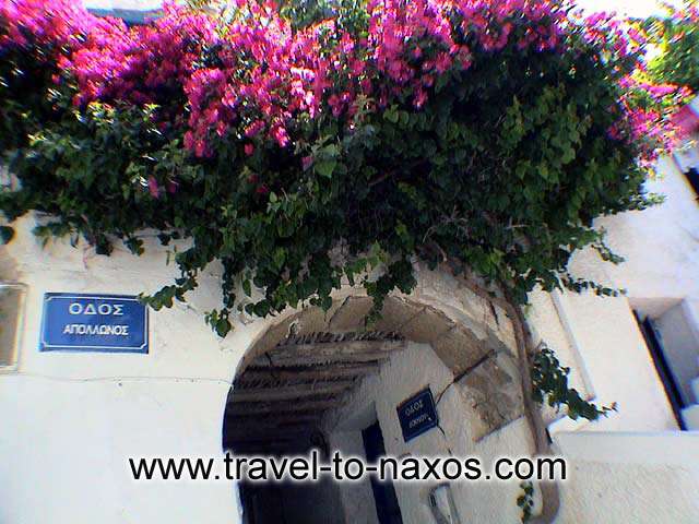 KASTRO - The Apollonos street in the Chora of Naxos.