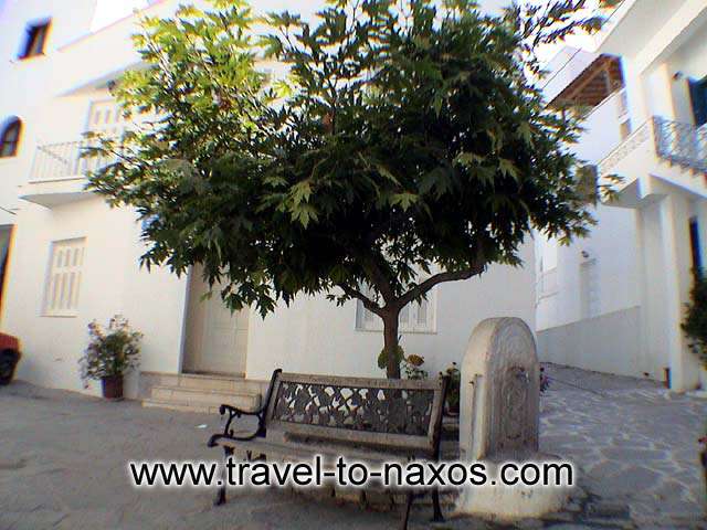 BOURGOS - A nice spot in Naxos town. Relax under the shadow of a tree.