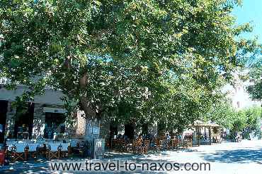 FILOTI - The main square of Filoti with the long - ages plane trees.
