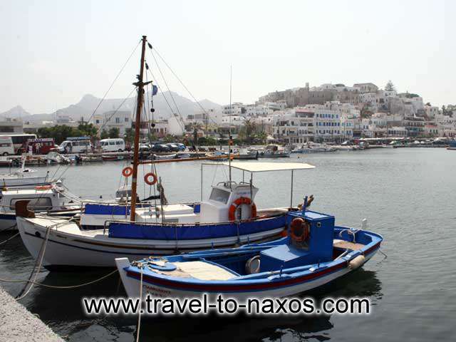 NAXOS PORT - Fishing boats in Naxos port