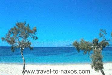 PLAKA BEACH - Plaka beach lies next to Agia Anna beach.